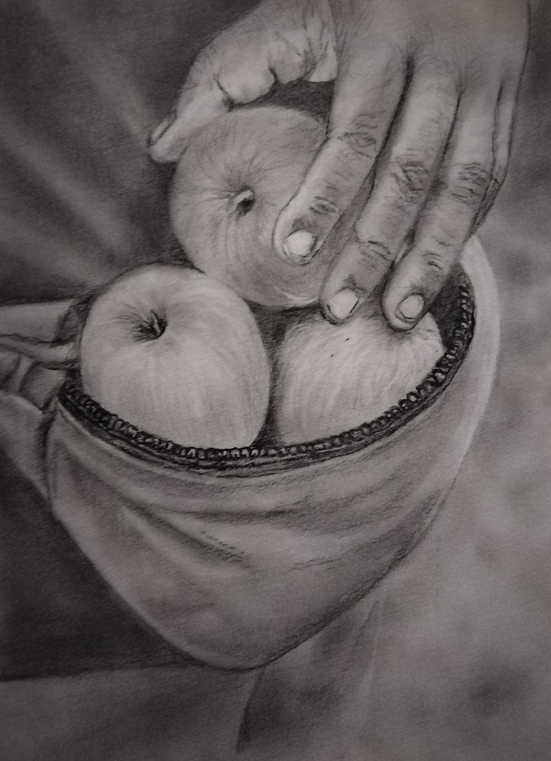 Apples in Bag
